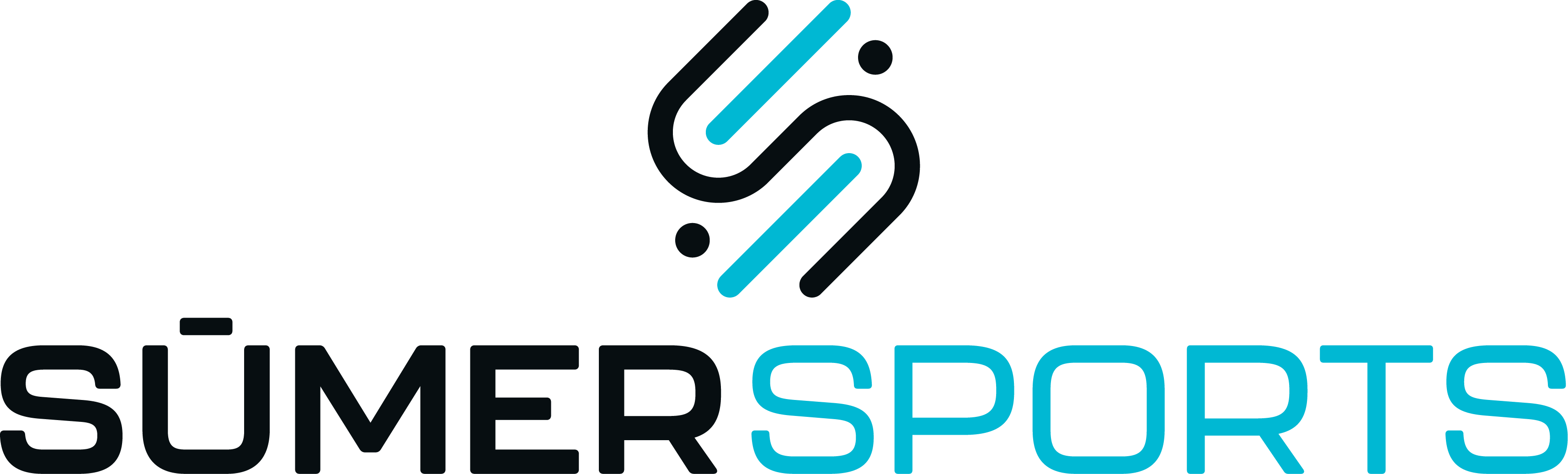 Computer Vision Engineer logo