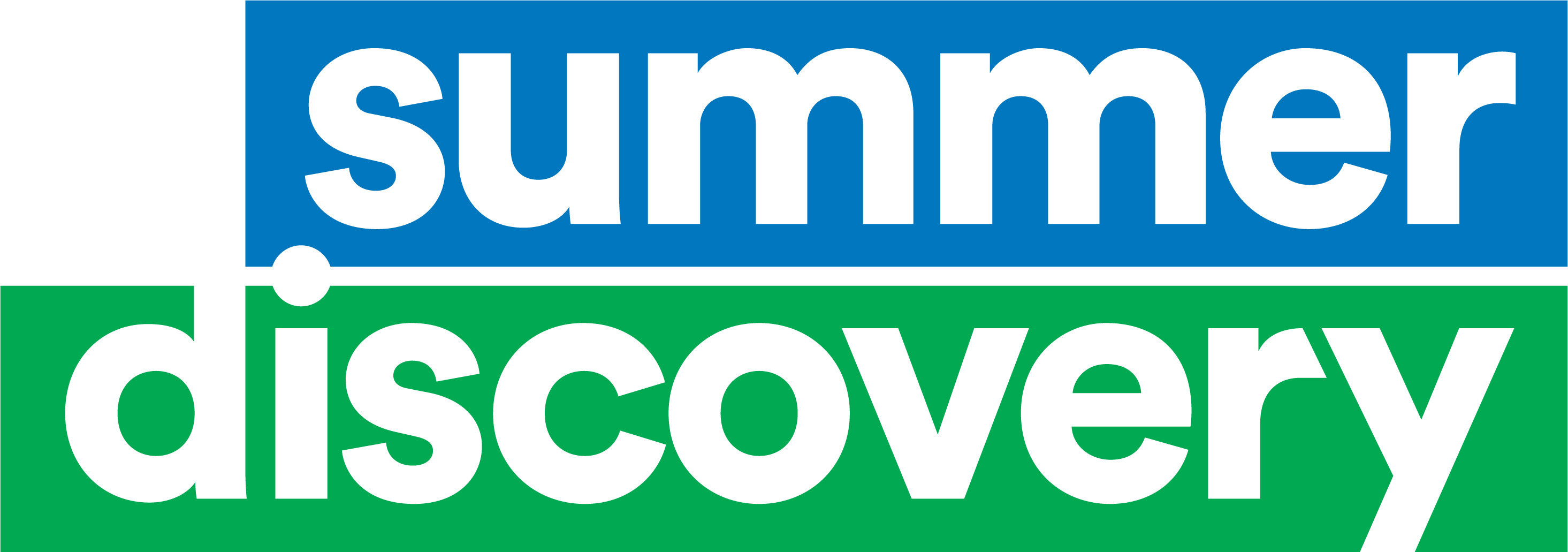 Summer Discovery