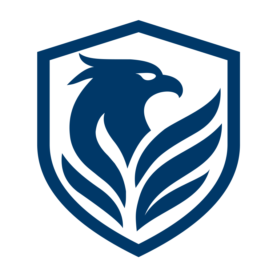 Invictus Strategy & Solutions